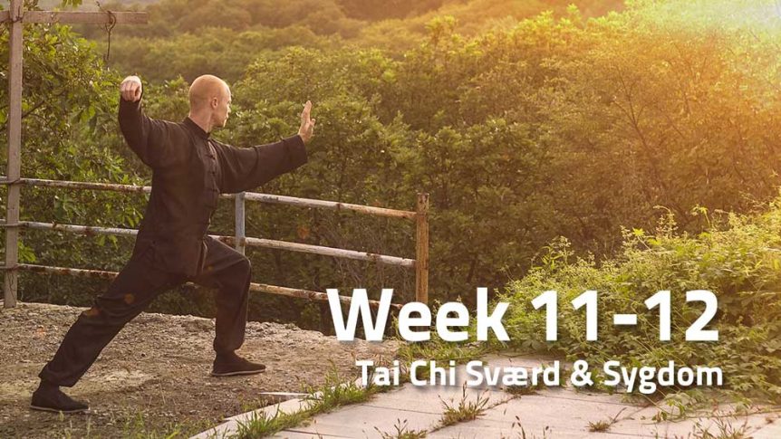 Peter Rosendahl blog Week 11-12 Tai Chi Sværd